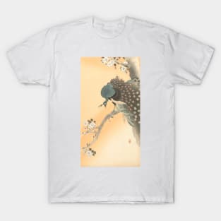 Peacock on a Blossoming Cherry Tree - Japanese Artwork T-Shirt